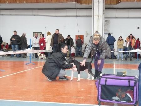 Прикачена снимка