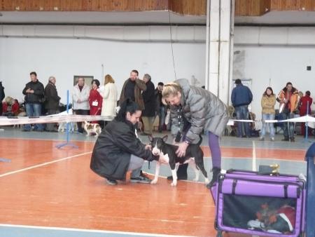 Прикачена снимка