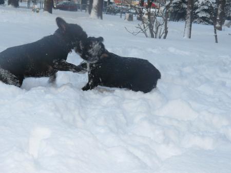 Прикачена снимка