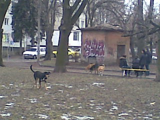 Прикачена снимка