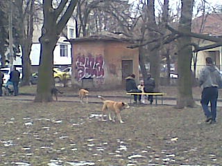 Прикачена снимка