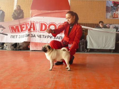 Прикачена снимка