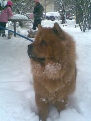 Прикачена снимка