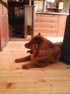 Прикачена снимка