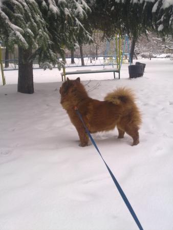 Прикачена снимка
