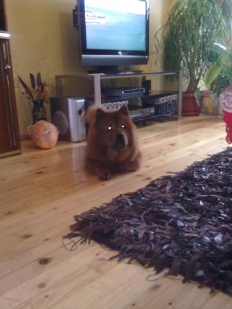 Прикачена снимка