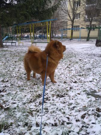 Прикачена снимка