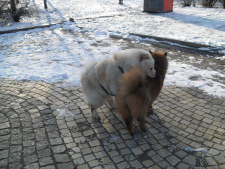 Прикачена снимка