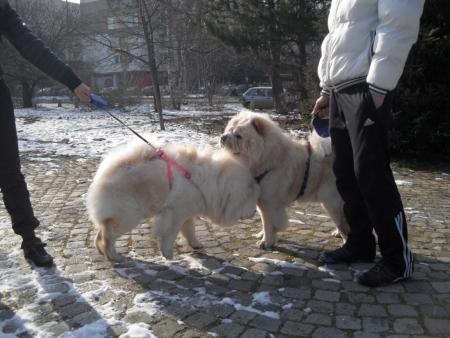 Прикачена снимка