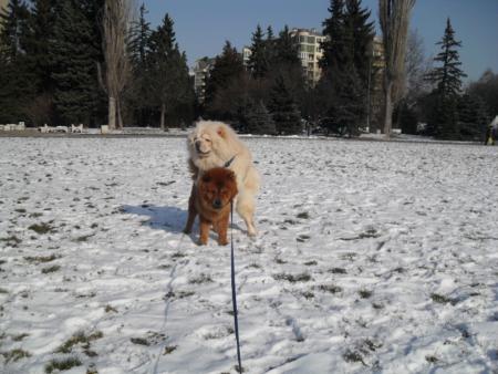 Прикачена снимка