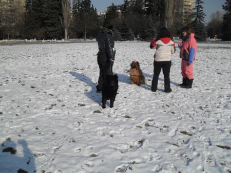 Прикачена снимка