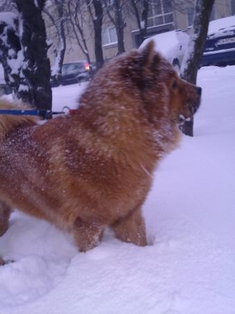 Прикачена снимка