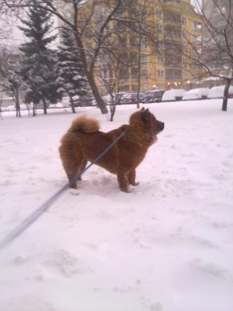 Прикачена снимка