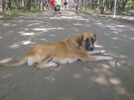 Прикачена снимка