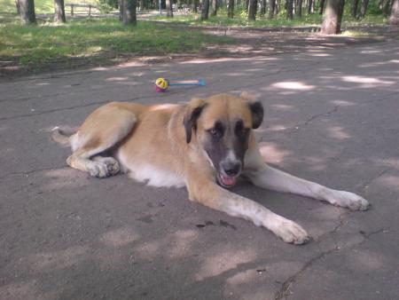 Прикачена снимка