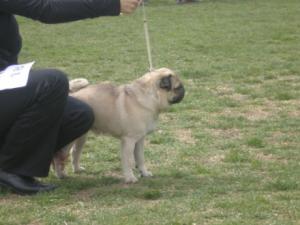 Прикачена снимка