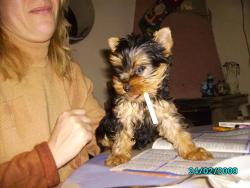 Прикачена снимка