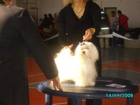 Прикачена снимка