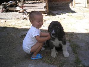 Прикачена снимка