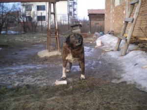 Прикачена снимка