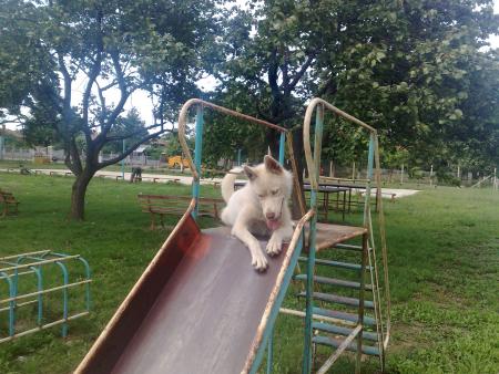 Прикачена снимка