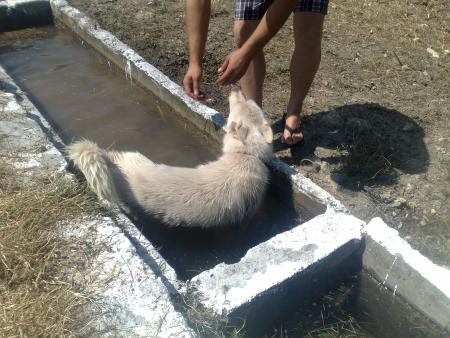 Прикачена снимка