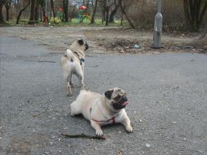 Прикачена снимка