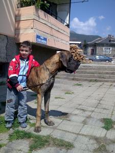 Прикачена снимка
