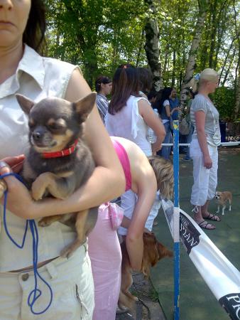 Прикачена снимка