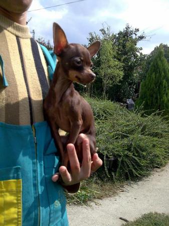 Прикачена снимка