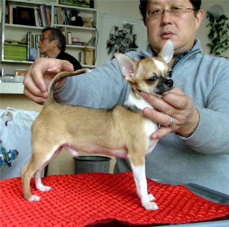 Прикачена снимка