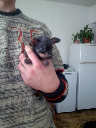 Прикачена снимка
