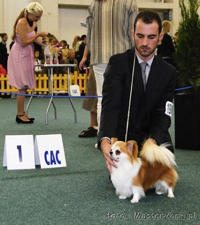 Прикачена снимка