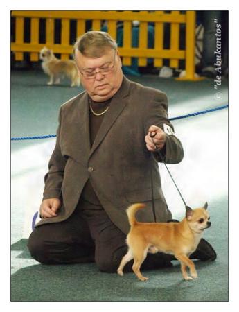Прикачена снимка