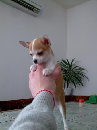 Прикачена снимка