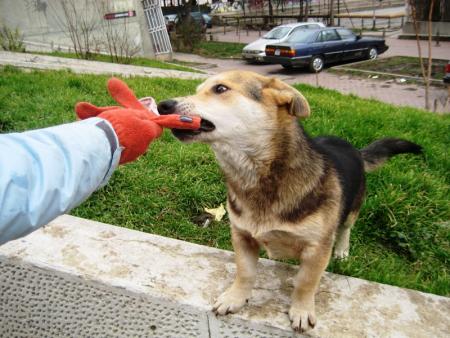 Прикачена снимка