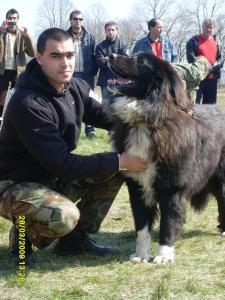 Прикачена снимка