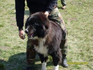 Прикачена снимка