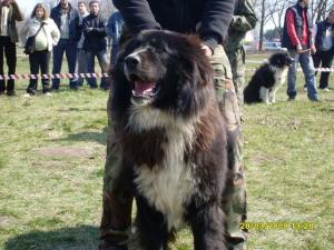 Прикачена снимка