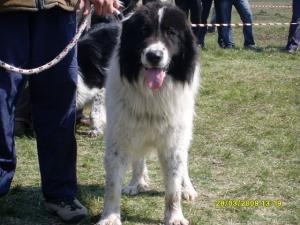 Прикачена снимка