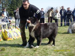 Прикачена снимка