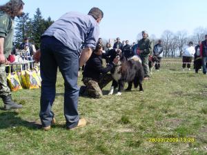 Прикачена снимка