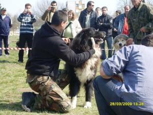 Прикачена снимка