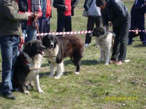 Прикачена снимка