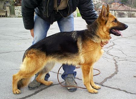 Прикачена снимка