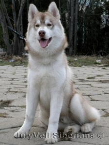 Прикачена снимка