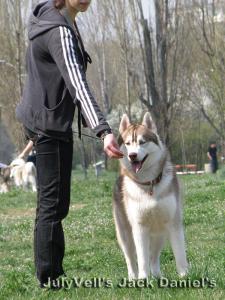 Прикачена снимка