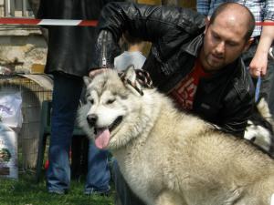 Прикачена снимка