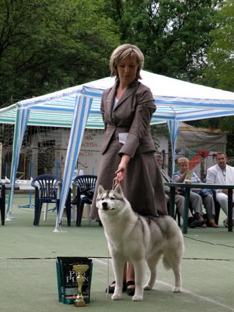 Прикачена снимка