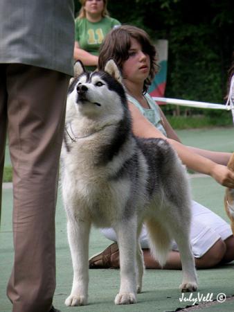 Прикачена снимка